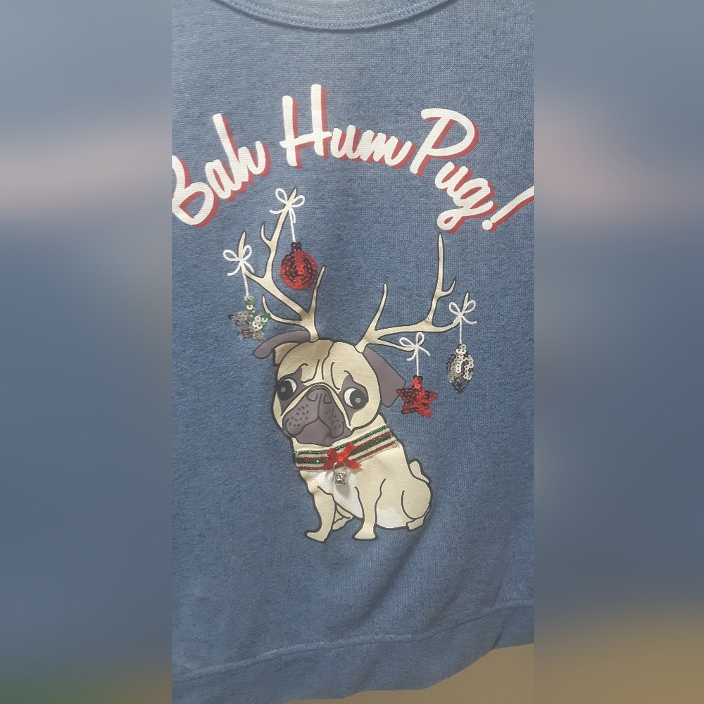 PRE-LOVED Christmas Women's Medium Bah Hum Pug Blue Sweater